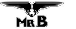 Mister B