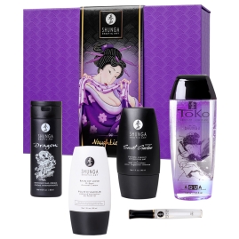 Подарочный набор Shunga Naughter Kit