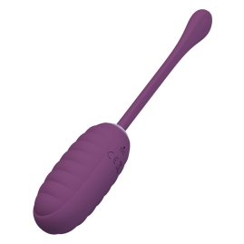 Виброяйцо Pretty Love Kirk